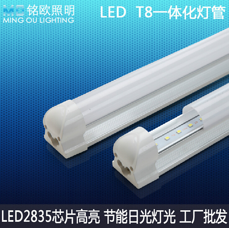 T8 lamp T8 daylight lamp energy saving the led fluorescent lamp High lumen fluorescent lamp