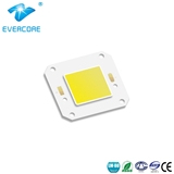 Outdoor Lighting LED COB Modules - ZH-H46