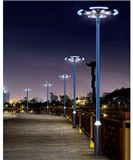 Chengxu 96-200W LED Viburnum Garden Light