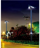 Chengxu 36-75W LED Garden Light