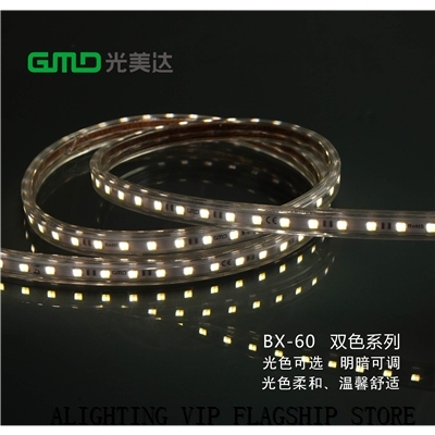 High Voltage LED Strip CW and WW