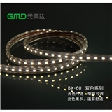 High Voltage LED Strip CW and WW
