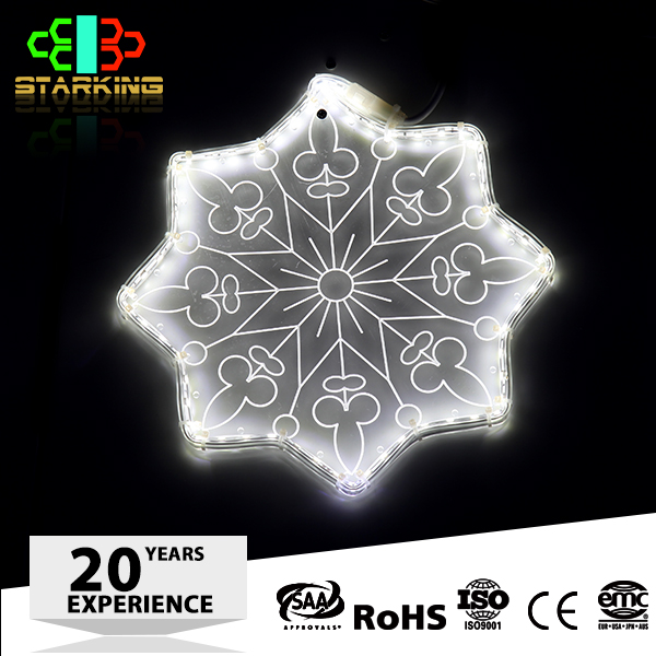 outdoor 2D LED Christmas light