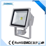 Outdoor Lighting 30W LED Floodlight