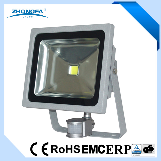High Quality 50W LED Floodlight with Ce GS Certificates