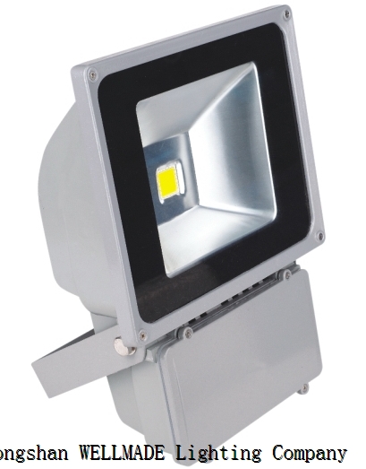 LED projection lamp series F3001 WM