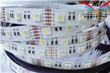 RGBW Low volts led strip series--HOT SALE