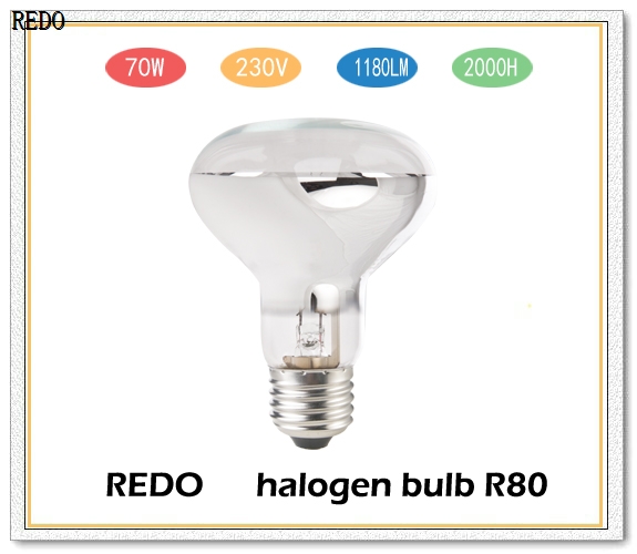 R80 Halogen Reflector Bulb