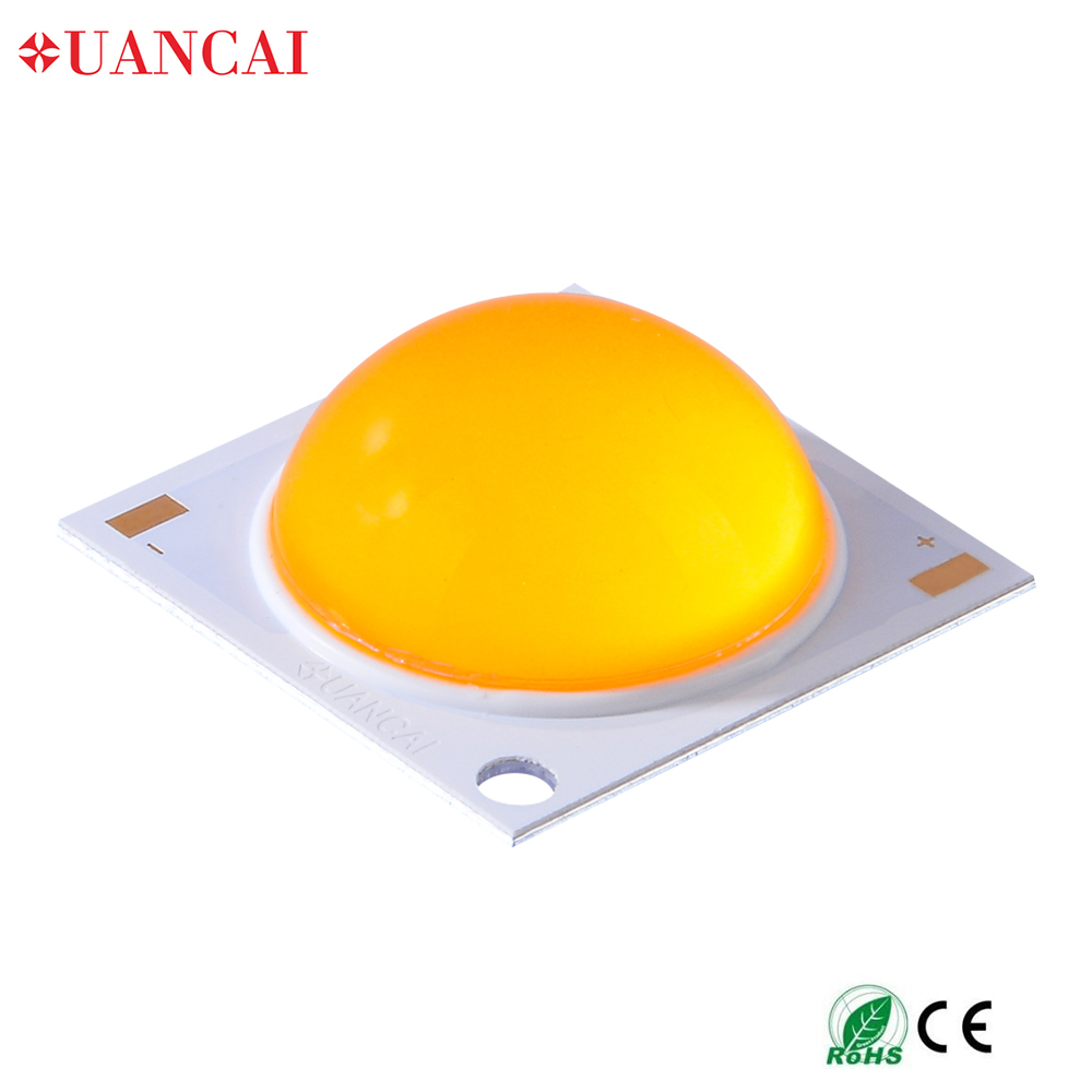 XUANCAI 2828 20W White High Power Chip on Borad Light Emitting Diode COB LED