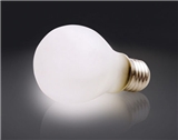 Incandescent bulb frosted