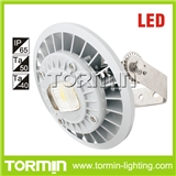 Moderate price high lumen output Bracket mounted LED light