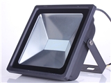 100W Earth LED Floodlight