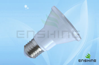 Enshine LED PAR light