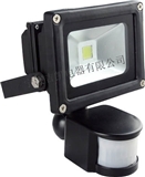 Hot Sale Motion Sensor Led Flood Light 10w Sensor Floodlight