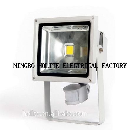 Outdoor Hot Sales IP65 Bright 30W Led Flood light with sensor
