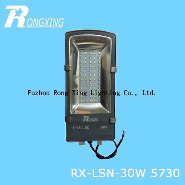 LED Outdoor Light RX-LSN-30W SMD 5730