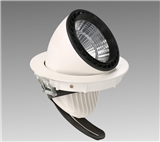 10W-50W recessed movable and stretchable dimmable LED downlight Recessed COB downlight CREE chip