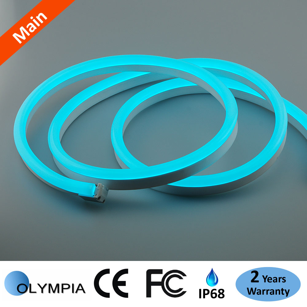 SMD5050 12Volt LED Neon Flex Rope Light With High Brightness