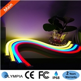 5050 LED Cinta Neon Light Indoor And Outdoor Use