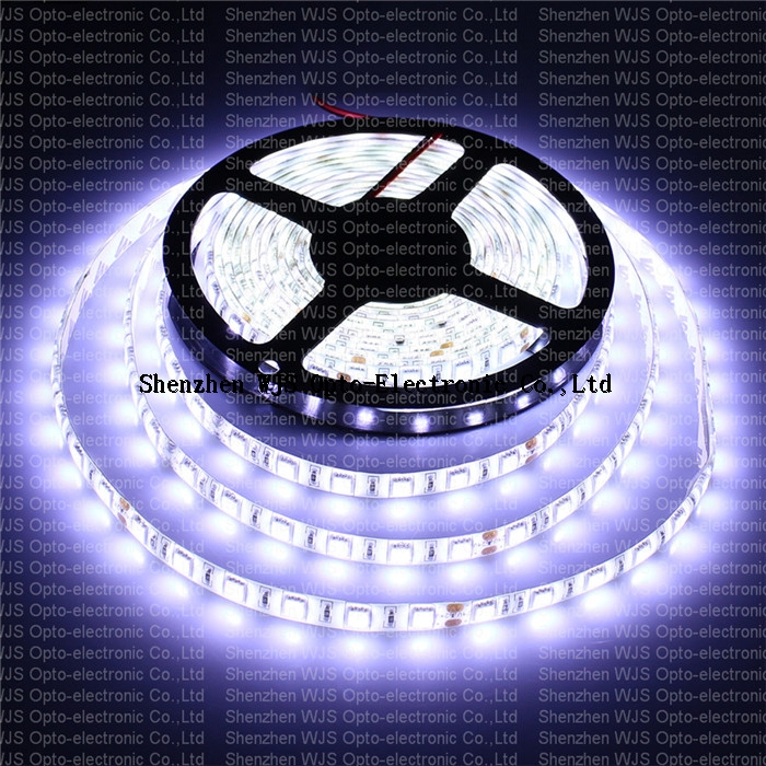 5050 Cool White Led Strip Light 300Leds DC24V IP65 Silicone Waterproof