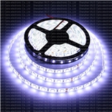 5050 Cool White Led Strip Light 300Leds DC24V IP65 Silicone Waterproof
