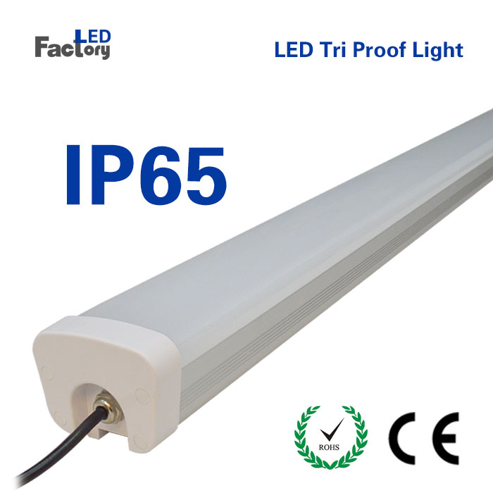 30W LED Tri-proof Tube Light IP65 Tri-proof Tube Light