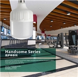 LED Bulb Handsome Series