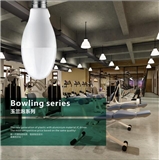 LED Bulb Bolwing Series