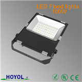 Hoyol bridgelux smd waterproof outdoor ip65 100w LED Flood lights