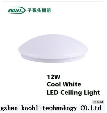 ZDT-XG Ceiling light is simple.It has good quality and clean color.