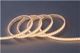 Flexible LED Strips IP67 Plus Extrusive Silicon Tube GL-12-F749