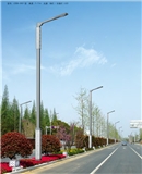 Single Arm Lamp Series