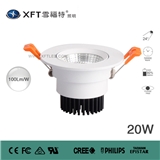 COB LED DOWN LIGHTS XFT-TD-COB009-20W