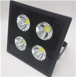 LED Flood Light