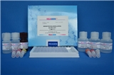 Tetrodotoxin ELISA Test Kit