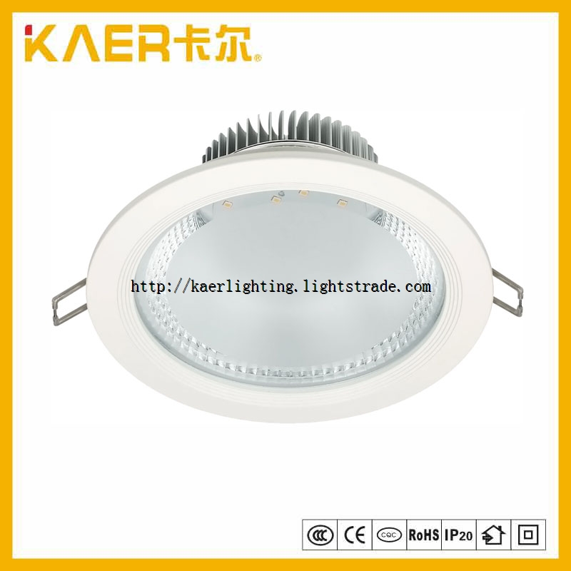 12W LED Ceiling Lamp Dimmable LED Down Light