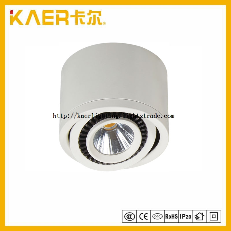 3W Ceiling COB Decoration Surface Mounted LED Down Light