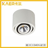 3W Ceiling COB Decoration Surface Mounted LED Down Light