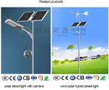 40W solar powered street light