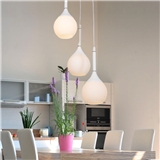 Contemporary Design Pendant Lamp No.0102-1
