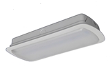 DJ-03J emergency ceiling lamp