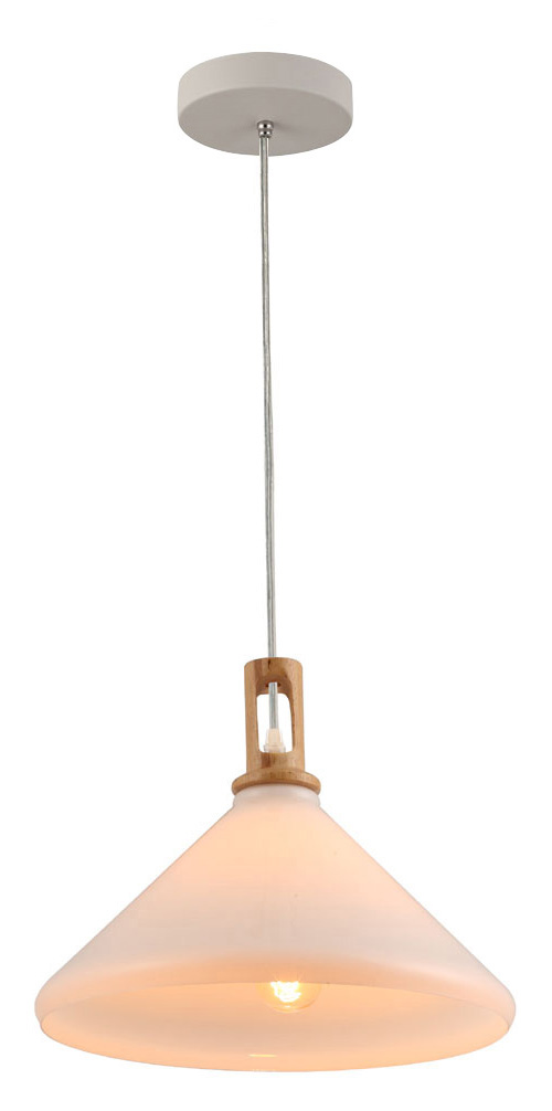 P1023A E27 pendant light Opal white Glass shape Modern hanging lamp