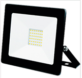 FL29 flood light