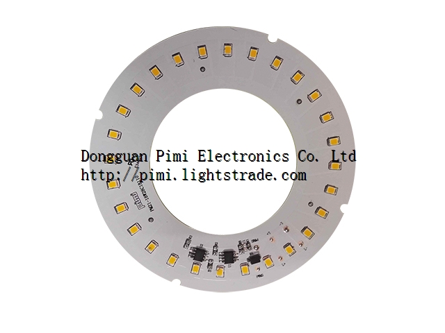 PM21 Hi-volts LED Dimmer light Source