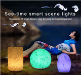 See-time smart scene lights