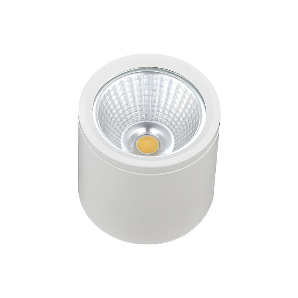 CE ROHS Downlight Type Surface Mounted Led Lights Home