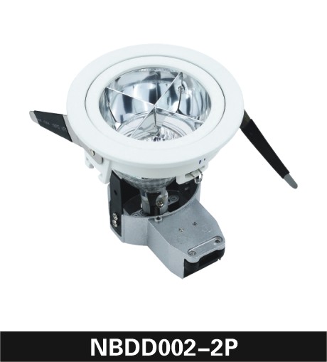 LED Spotlight NBDD002-2P