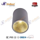 Aluminum COB LED 12W LED Ceiling Light with Honey Comb
