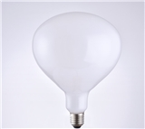 LED Bulb 4040