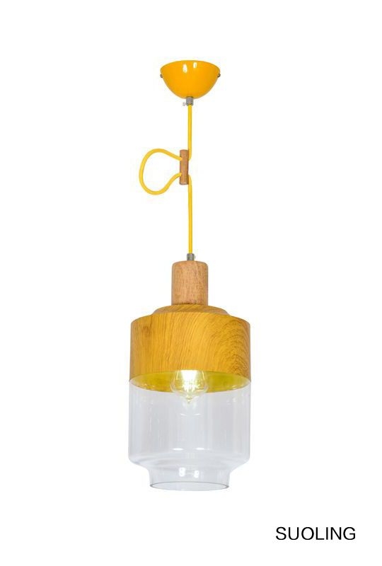 Morden Glass Pendant Lamp for Decoration No.1007-1